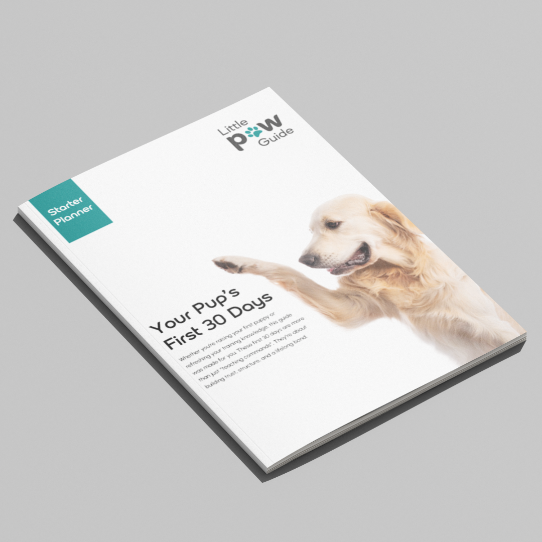 Little Paw Guide Bundle