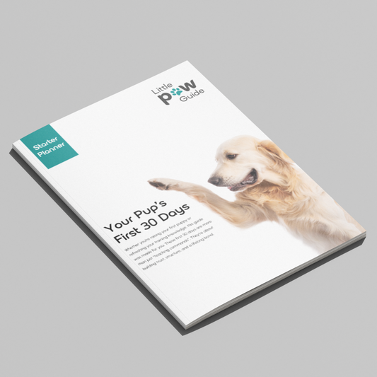Little Paw Guide Bundle