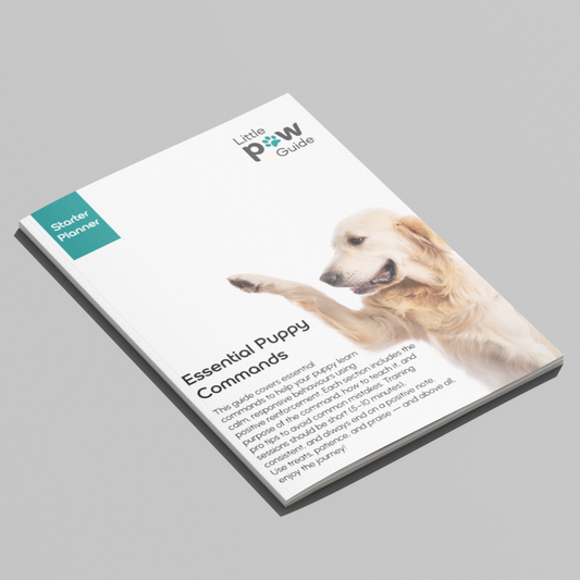 Essential Puppy Commands